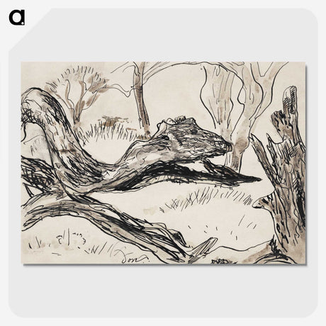 1-50_Arthur-Dove_picture-crop