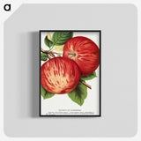 1-50_Botanical-Specimen-Plates_blk-crop