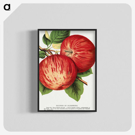 1-50_Botanical-Specimen-Plates_blk-crop