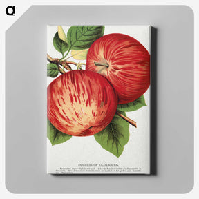 1-50_Botanical-Specimen-Plates_canvas