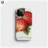 1-50_Botanical-Specimen-Plates_phone