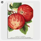 1-50_Botanical-Specimen-Plates_picture-crop