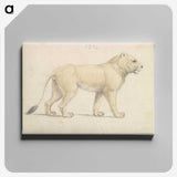 1-50_Charles-Hamilton-Smith_canvas