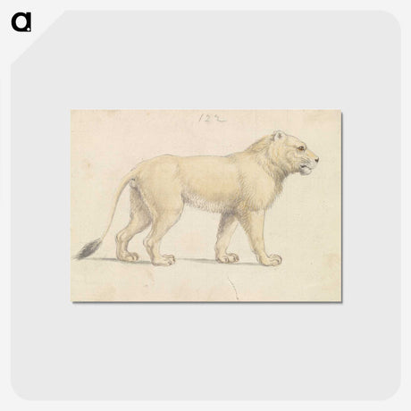 1-50_Charles-Hamilton-Smith_postcard