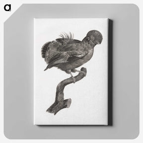 1-50_Des-Oiseaux-de-Paradis_canvas