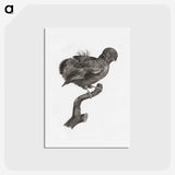 1-50_Des-Oiseaux-de-Paradis_hagaki