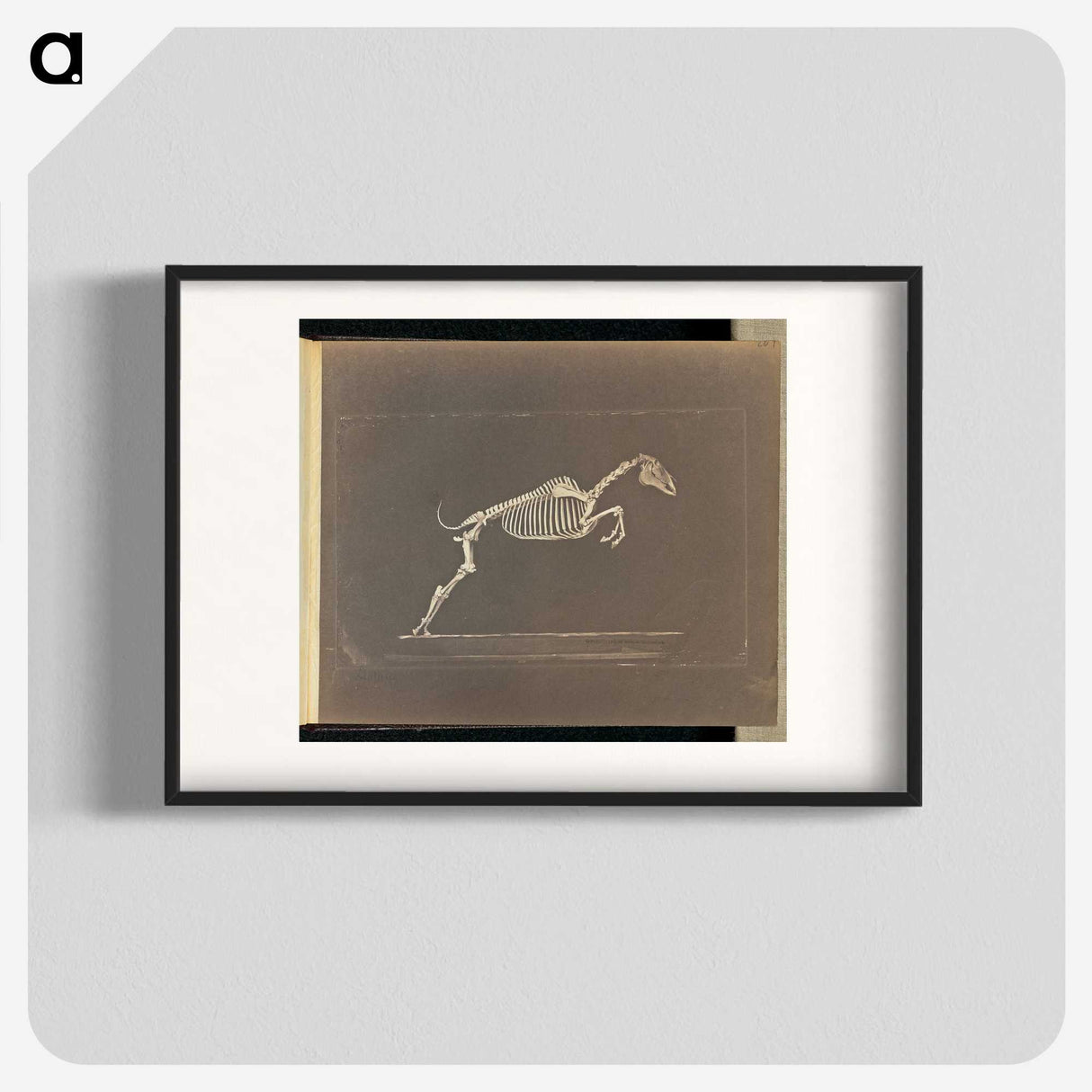 1-50_Eadweard-Muybridge_blk