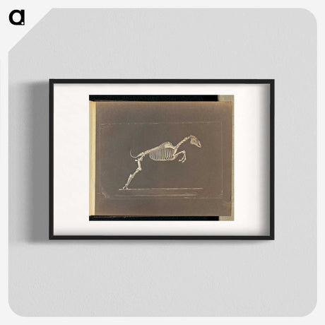 1-50_Eadweard-Muybridge_blk