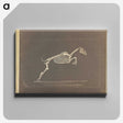 1-50_Eadweard-Muybridge_canvas