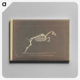 1-50_Eadweard-Muybridge_canvas