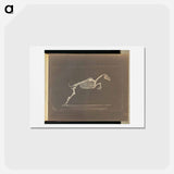アートポストカード-Leaping
 - エドワード マイブリッジ Postcard.