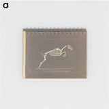 1-50_Eadweard-Muybridge_memo