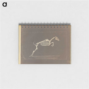 1-50_Eadweard-Muybridge_memo