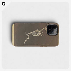 1-50_Eadweard-Muybridge_phone