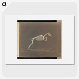 1-50_Eadweard-Muybridge_picture