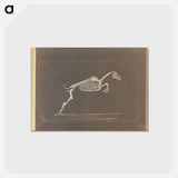 アートポストカード-Leaping
 - エドワード マイブリッジ Postcard.