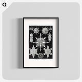 Acanthophracta–Wunderstrahlinge from Kunstformen der Natur - エルンスト ヘッケル Poster.