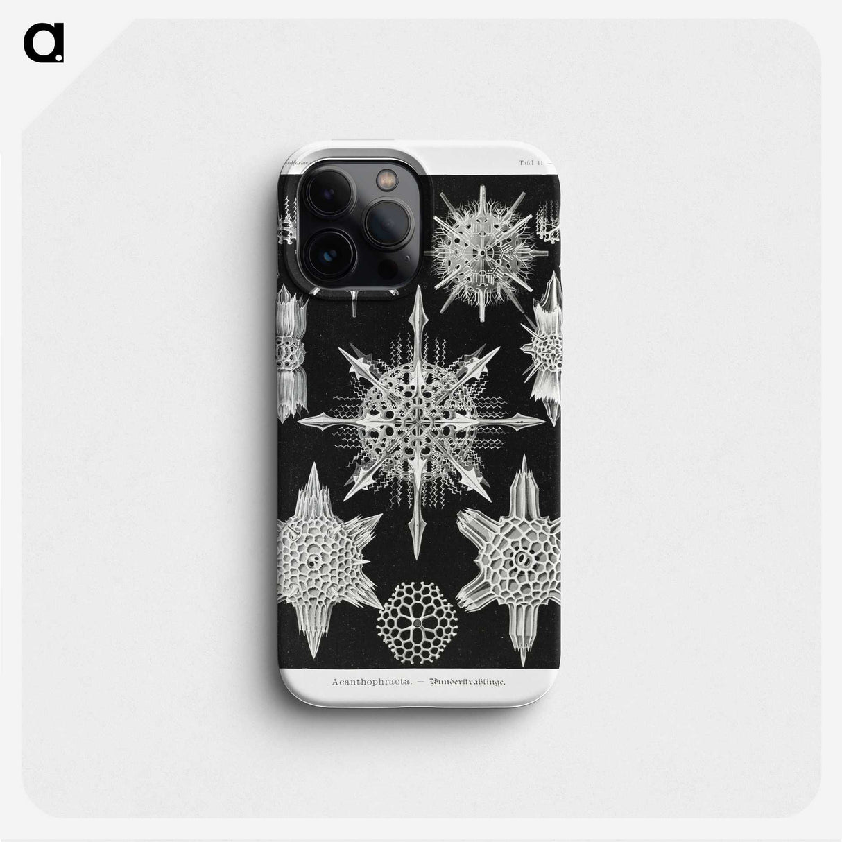 1-50_Ernst-Haeckel_phone