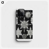 1-50_Ernst-Haeckel_phone