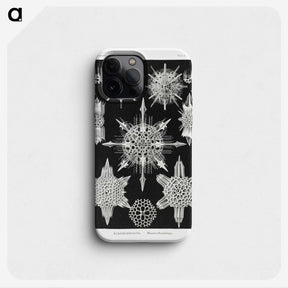 1-50_Ernst-Haeckel_phone