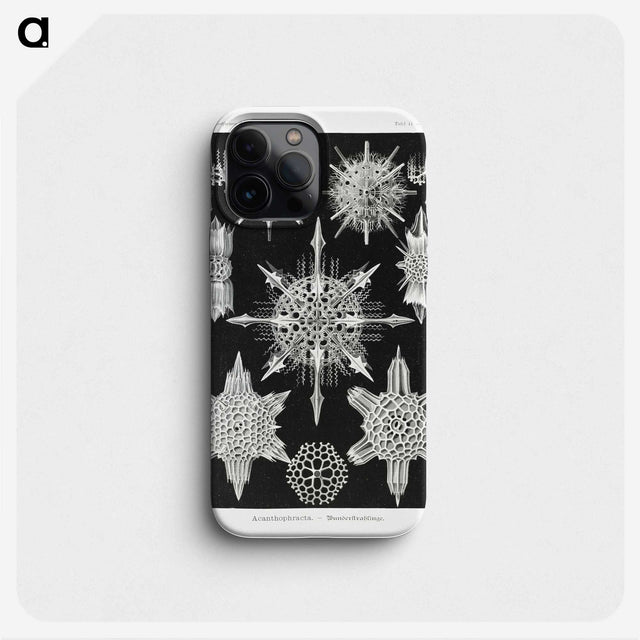 1-50_Ernst-Haeckel_phone