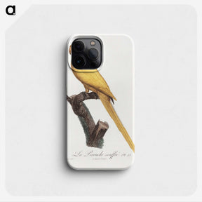 1-50_Francois-Levaillant_phone