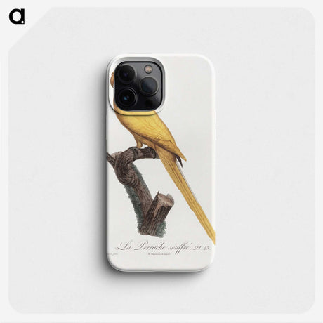 1-50_Francois-Levaillant_phone