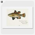 1-50_Frank-Edward-Clarke_picture