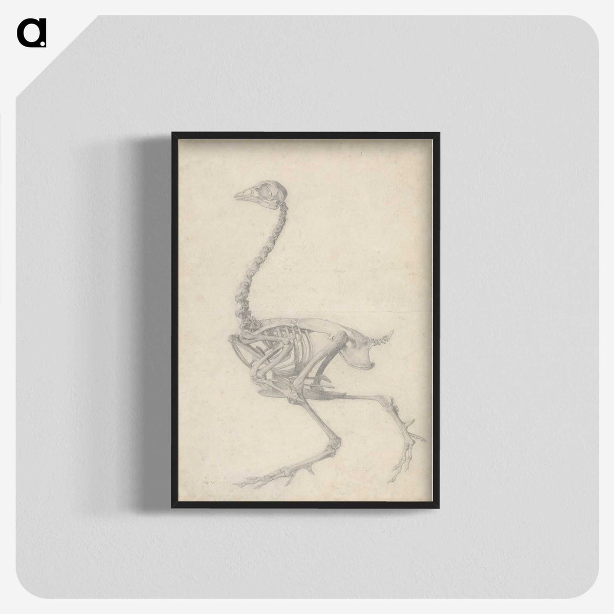 1-50_George-Stubbs_blk-crop