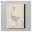 1-50_George-Stubbs_canvas