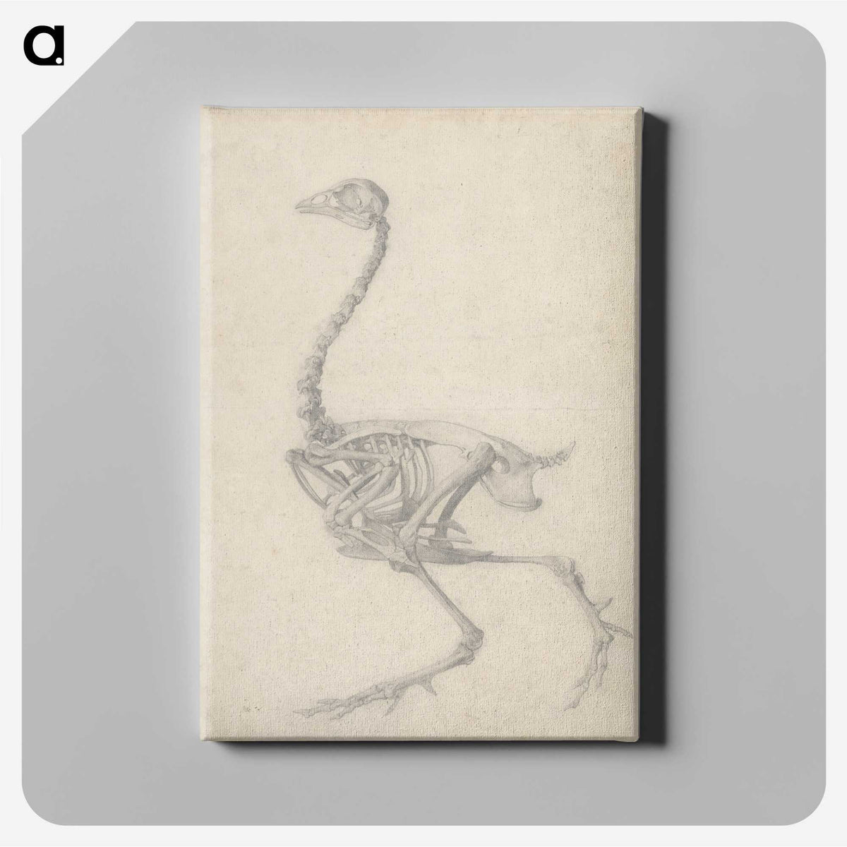 1-50_George-Stubbs_canvas