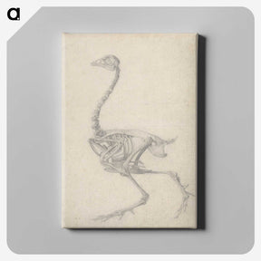 1-50_George-Stubbs_canvas