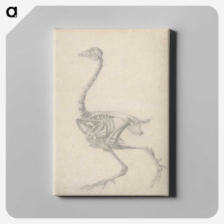 1-50_George-Stubbs_canvas