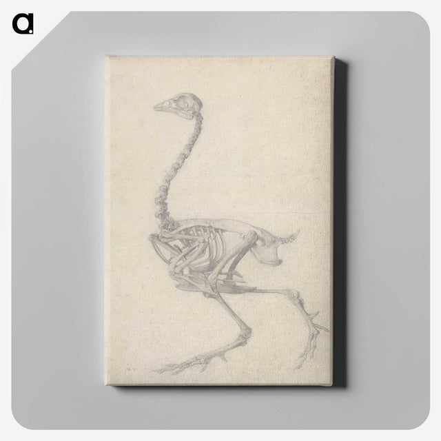1-50_George-Stubbs_canvas