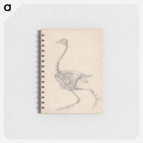 アートメモ帳-Fowl Skeleton, Lateral View
 - ジョージ スタッブス Memo.