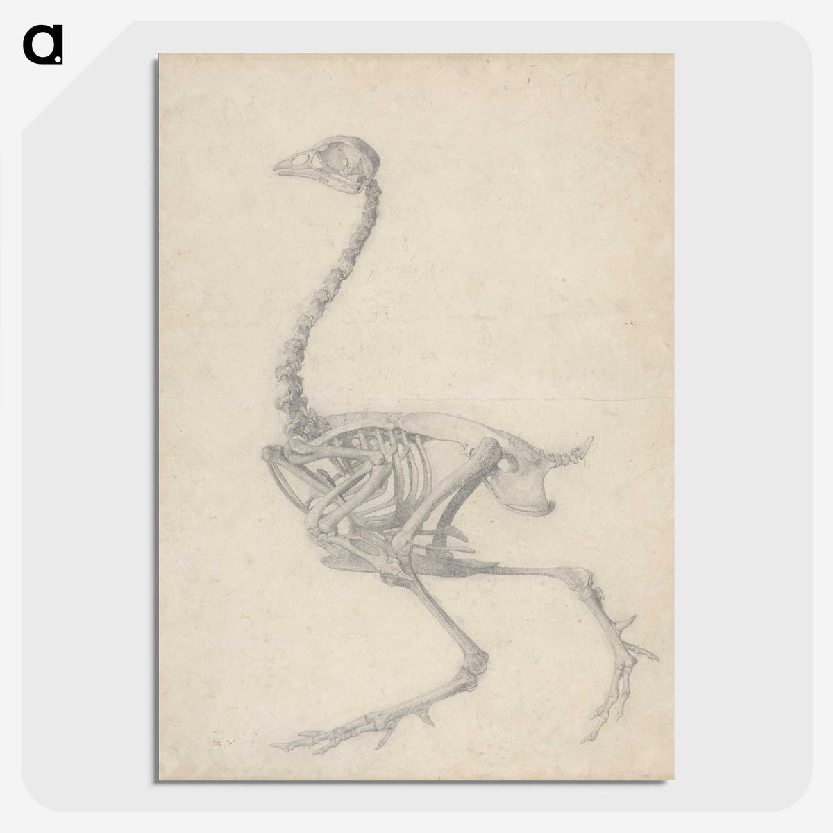 1-50_George-Stubbs_picture-crop