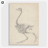 1-50_George-Stubbs_picture-crop