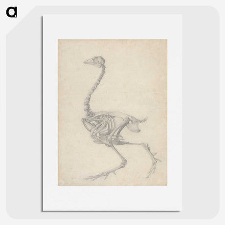 1-50_George-Stubbs_picture