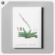 1-50_Histoire-des-Plantes-Grasses_canvas