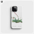 1-50_Histoire-des-Plantes-Grasses_phone
