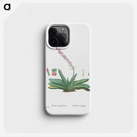 1-50_Histoire-des-Plantes-Grasses_phone