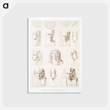 アートポストカード-Egyptian Head Proportions
 - エジプト美術史 Postcard.