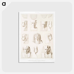アートポストカード-Egyptian Head Proportions
 - エジプト美術史 Postcard.