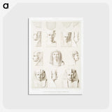 1-50_History-of-Egyptian-Art_postcard