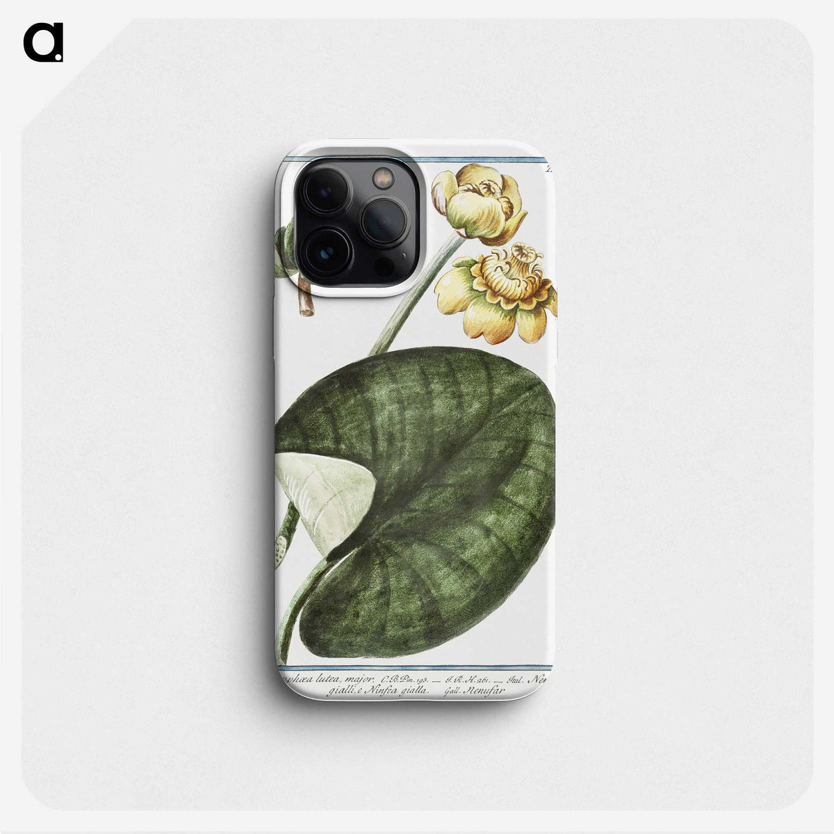 1-50_Hortus-Romanus-Botanical-Plates_phone