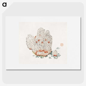 1-50_Hu-Zhengyan_picture