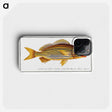 1-50_Ichtyologie-ou-Histoire-naturelle_phone