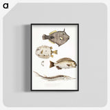 1-50_Indian-Zoology_blk-crop