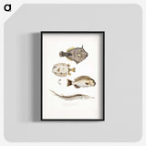 1-50_Indian-Zoology_blk