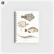 1-50_Indian-Zoology_memo